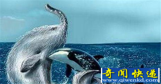 探秘七大神秘生物 死亡之虫竟是博比特虫?