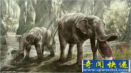 寻找血亲:盘点现代动物的远古史前生物祖先