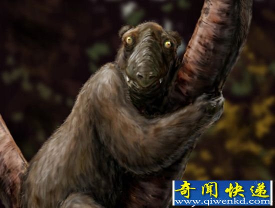 已灭绝的十种神奇动物 长相怪异仿如外星生物