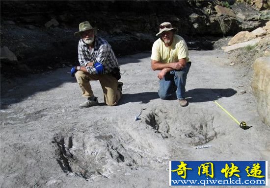 一亿年前恐龙如何示爱虐单身狗?答案:挖个坑