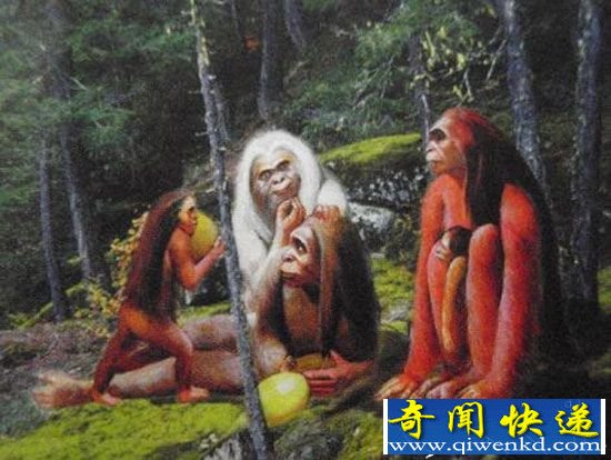 全球十大神秘生物:尼斯湖水怪是大象?