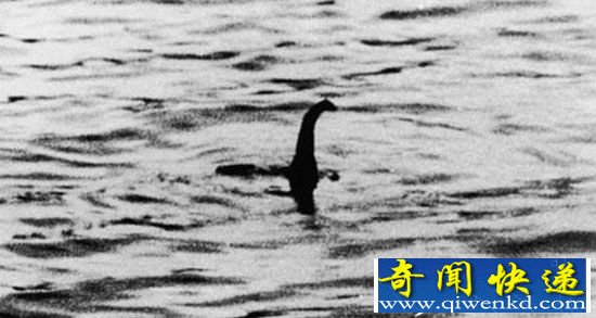 全球十大神秘生物:尼斯湖水怪是大象?