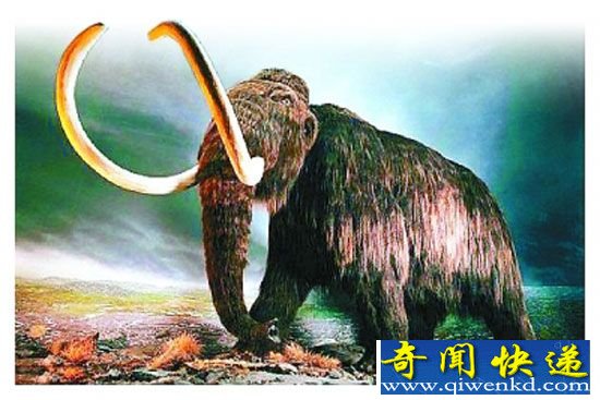 地球生物灭绝迎来第六次全球范围物种灭绝