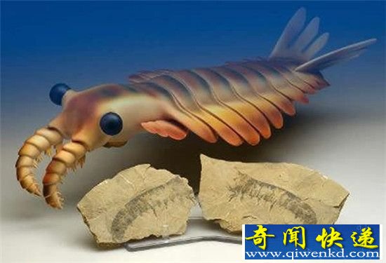 史前十大奇葩动物:造物主一定是喝醉了