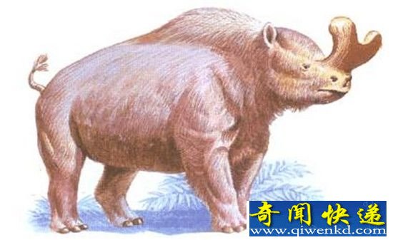 史前十大奇葩动物:造物主一定是喝醉了