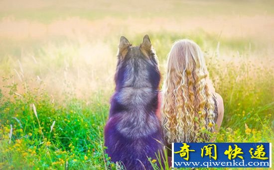 美女主人与二哈的浪漫童话故事