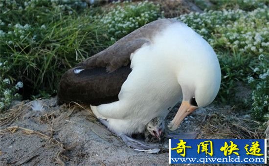 你说什么!怀个孕竟然要3年 64岁还能生孩子