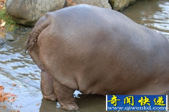 岿λʮ; ֳɷ䳬