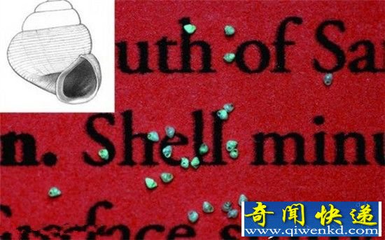2015新发现的十大古怪物种 神秘恐怖令人惊奇
