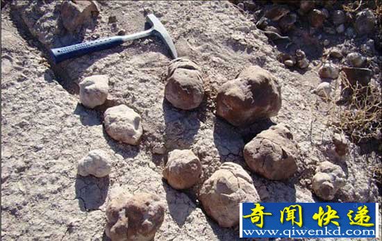 恐龙时代