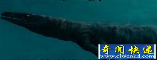 震撼曝光:地球上真实存在的5大恐怖深海巨怪