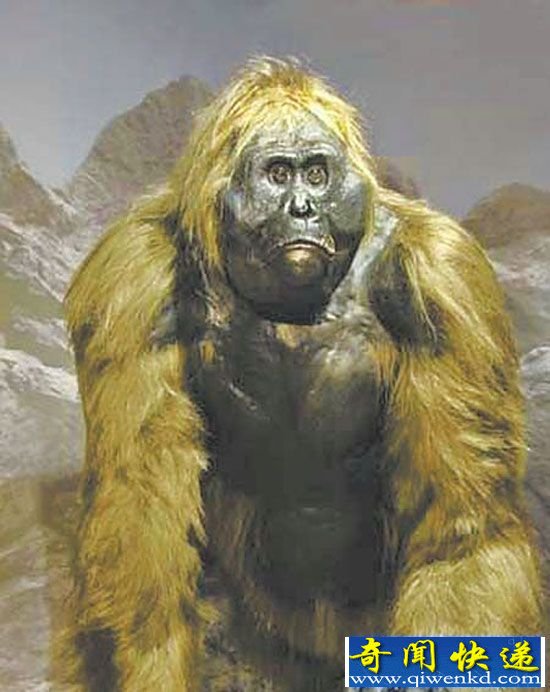 寻找血亲:盘点现代动物的远古史前生物祖先