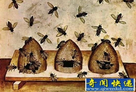 十种在中世纪被当做怪兽的动物 豹子竟是龙的天敌