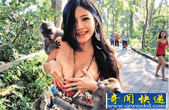 自然界十大动物虐人事件 猴子袭胸被曝光