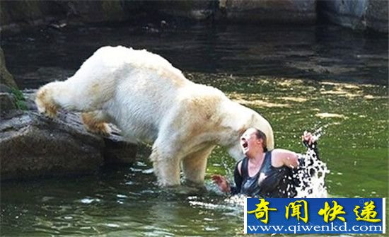 自然界十大动物虐人事件 猴子袭胸被曝光