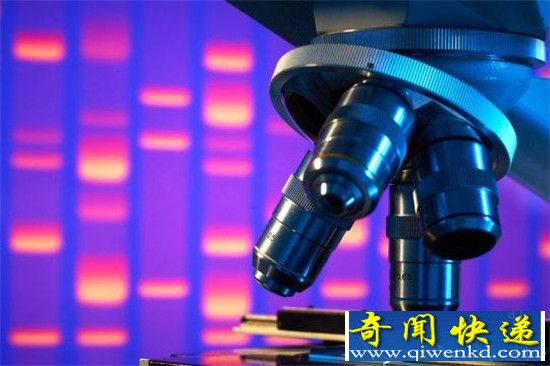 虫子打破衰老定律 人类或能永葆青春