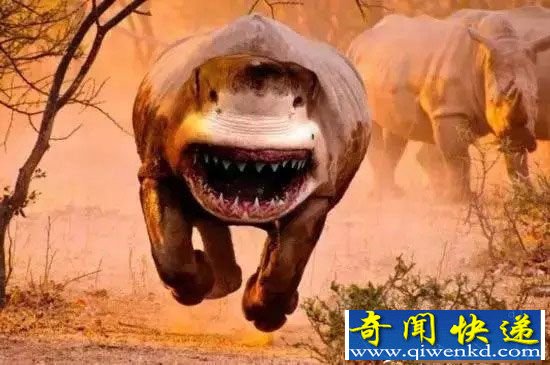 杂交动物界的十大奇葩:鲨鱼与犀牛杂交生个啥?