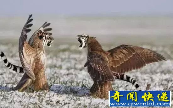 杂交动物界的十大奇葩:鲨鱼与犀牛杂交生个啥?