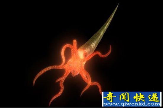 白垩纪十大奇异远古海洋动物