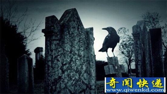 恐怖万圣节 盘点地球史上十大神鸟