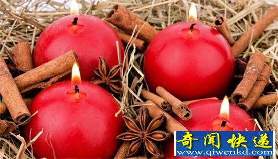 恐怖万圣节 盘点地球史上十大神鸟