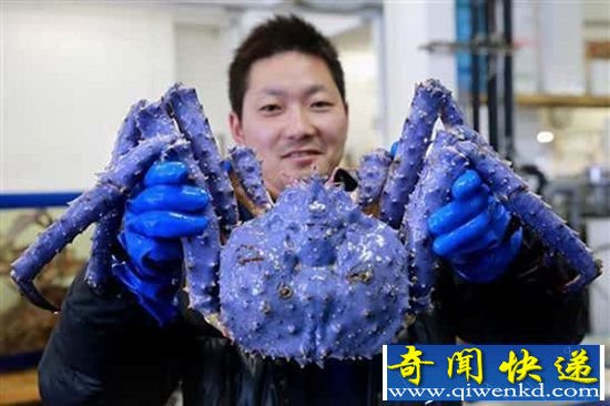 盘点8大超级惊悚变异动物 鲶鱼基因突变吞噬人类