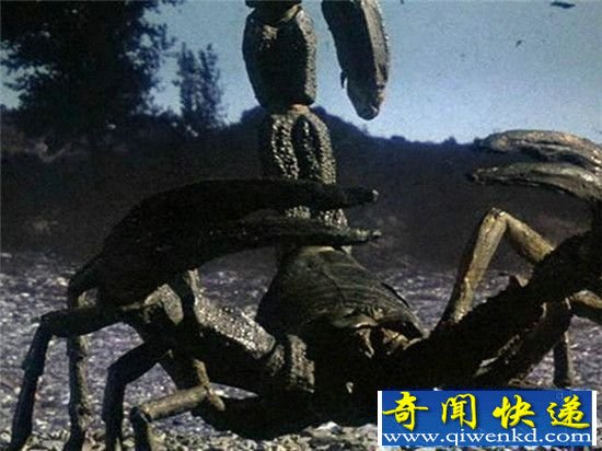 盘点鲜为人知的十大超级远古动物:恐怖的陆地杀手蝎