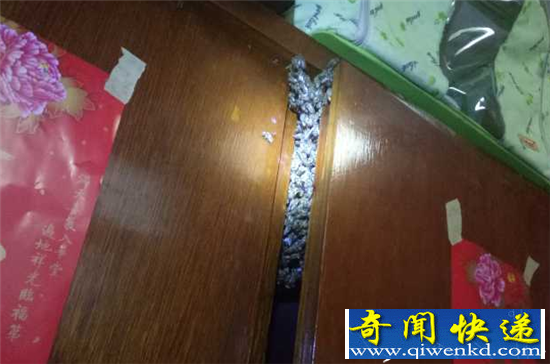 端午三天假房间变成马蜂窝