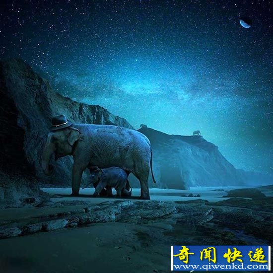 赞!艺术家创作合成图片 意图提倡保护动物