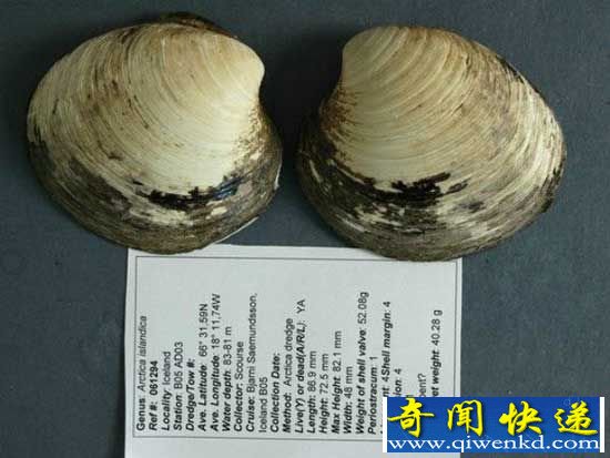 全球十大寿命最长动物