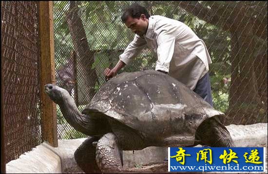 全球十大寿命最长动物