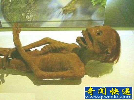 骇人听闻!全球十大最罕见恐怖动物