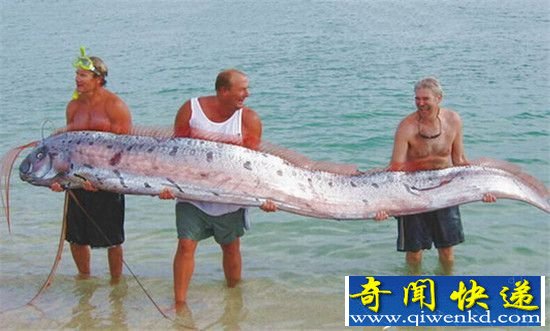 ȫ���������������̵� ������ڶ�����