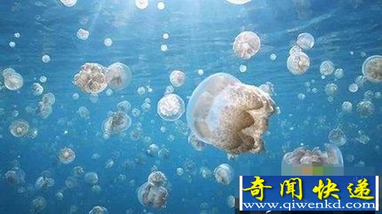 !̵㣺Ǩ׳