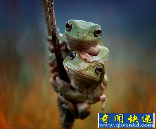 ӡ��ɰ�С���� �ھ�ͷǰ��ǣ�ִ�ɹ����