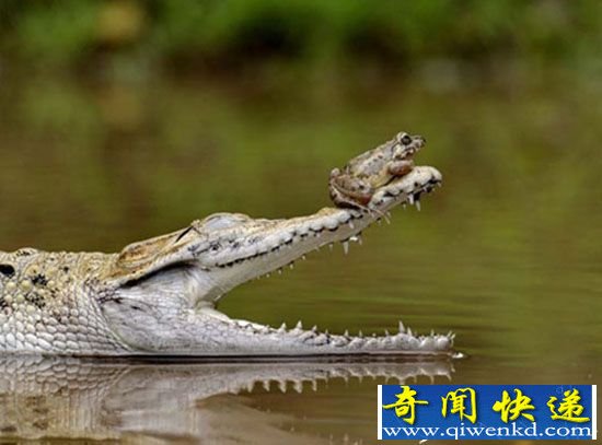 ������С���ܰ�Ȼ������Ǽ� ���ջ���������