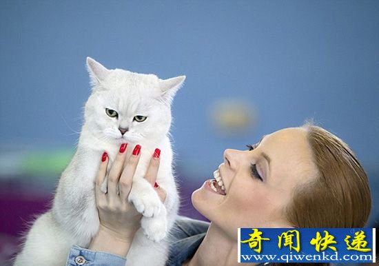 �������ǹ���èչ����ȫ��250ֻè�����涷�ޡ�