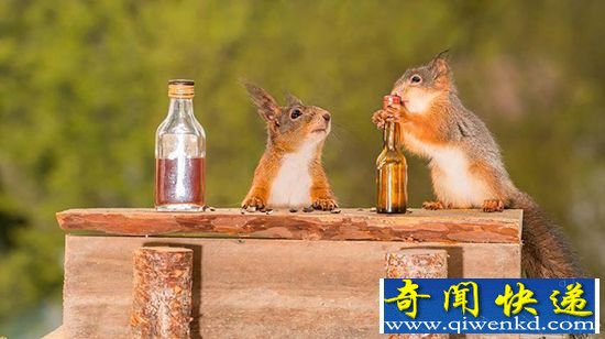 �����Ӱʦ���� ���ɿɰ�С����䡰�ƹ���