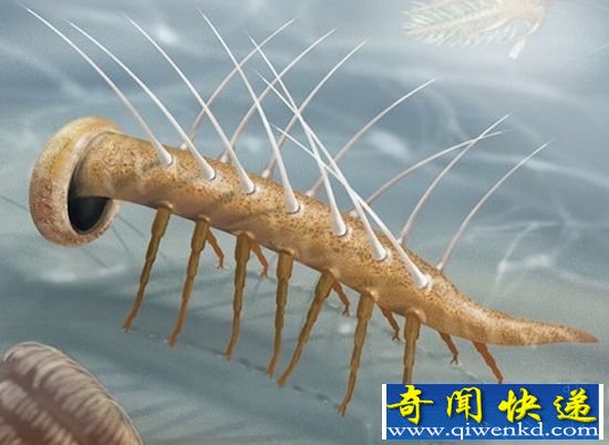 五种奇异的远古生物 怪异造型如同外星来客