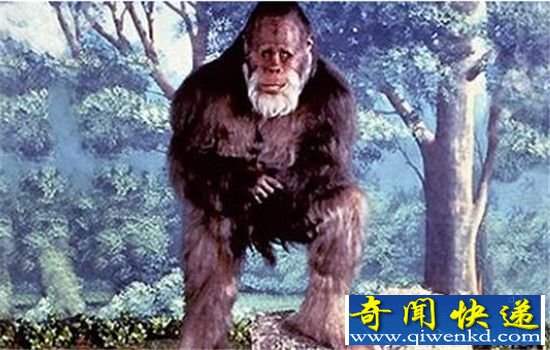 揭秘十大生物界神秘动物 尼斯湖水怪是马戏团大象
