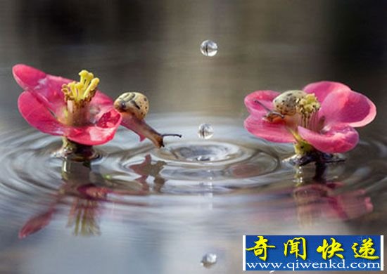 ��Ȥ���������ţ̽ͷ Χ��ˮ���Դ���