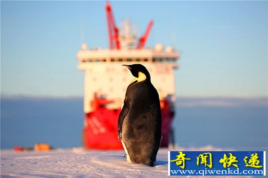 �ϼ����ֻ����� ��Χ�ۡ�ѩ���ſƿ���