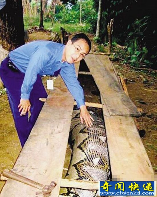 盘点:全球动物界五大不死“妖怪”