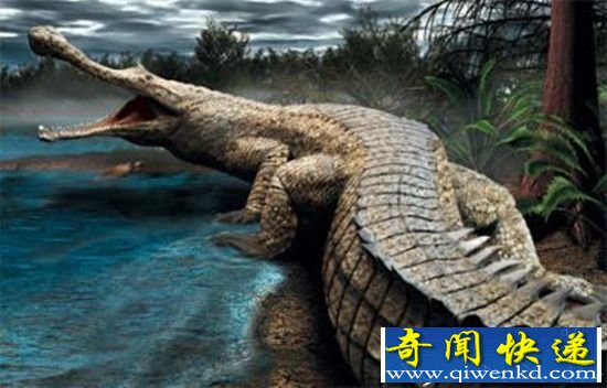 生活在11000万以前“帝鳄 以恐龙为食
