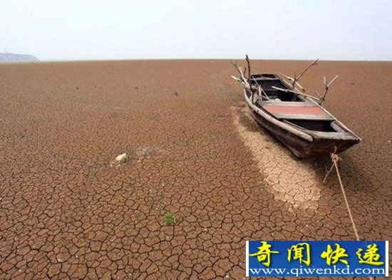 人类第六次大灭绝