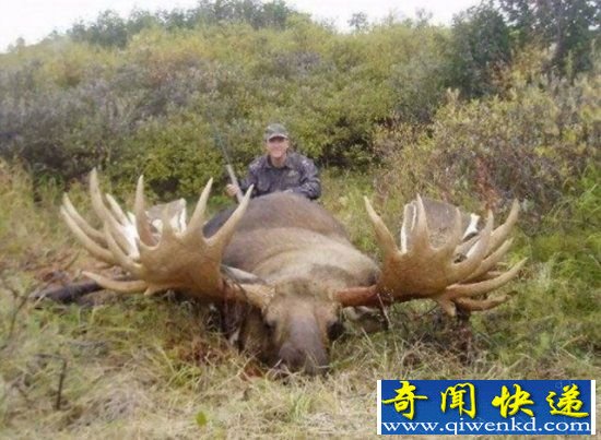 十大新发现远古灭绝生物复活
