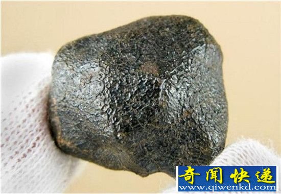 南极陨石为什么那么多?除了陨石还有南极巨虫!