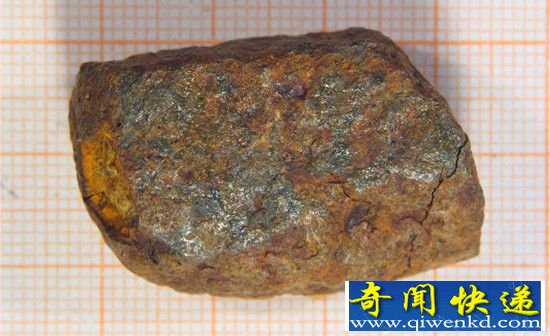 南极陨石为什么那么多?除了陨石还有南极巨虫!