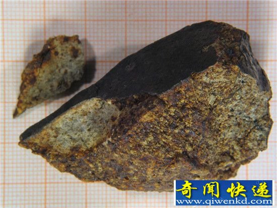 南极陨石为什么那么多?除了陨石还有南极巨虫!