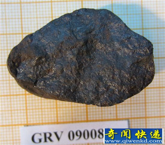南极陨石为什么那么多?除了陨石还有南极巨虫!